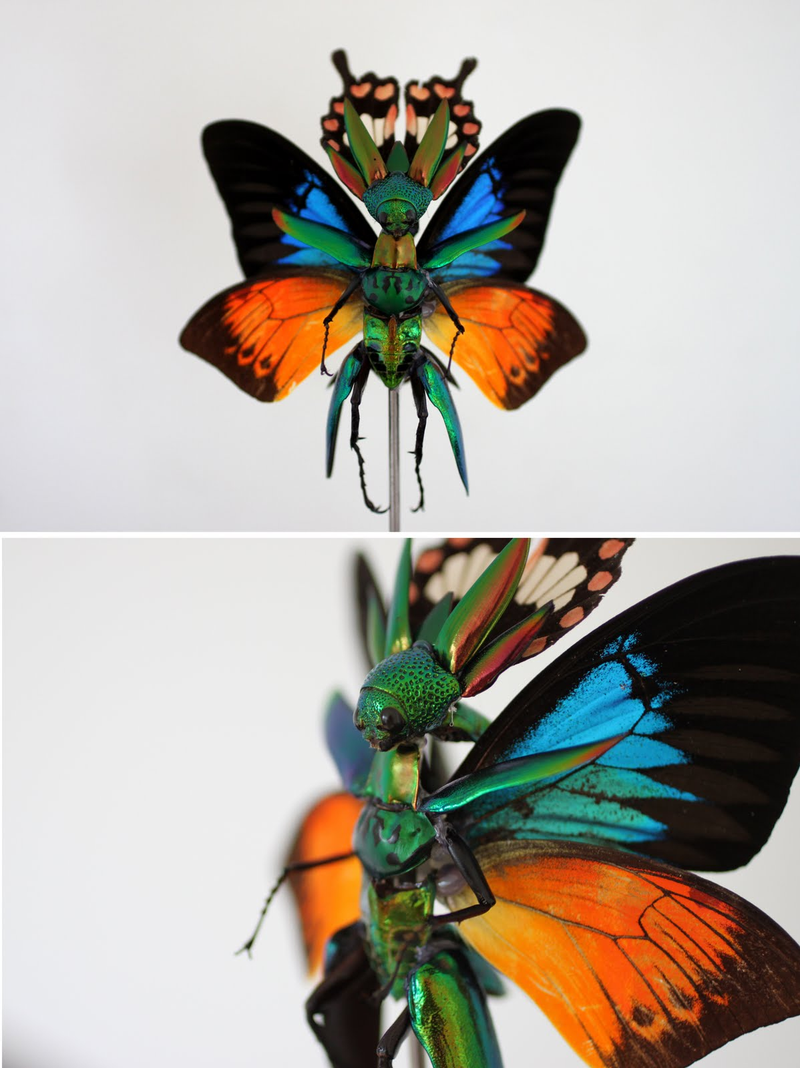 Illustration for article titled The Most Majestic Fairy Sculptures We've Seen Are Made Out Of Insects